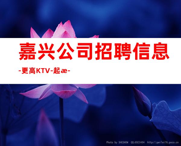 嘉兴公司招聘信息-更高KTV-起步我们尊重你的选择