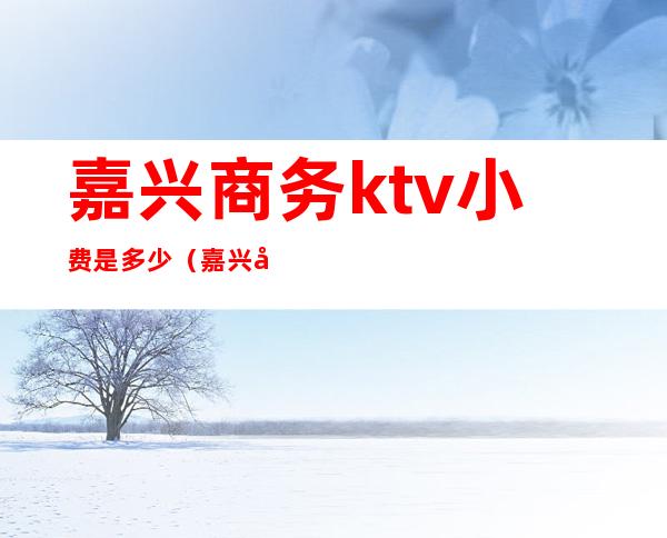 嘉兴商务ktv小费是多少（嘉兴好玩的商务KTV夜总会）