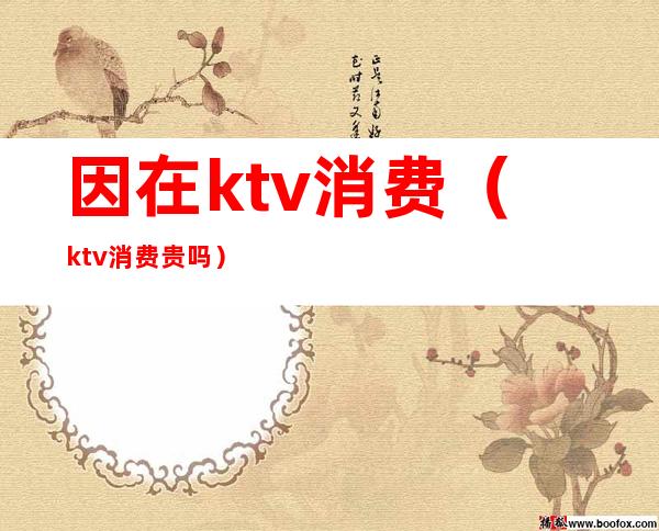 因在ktv消费（ktv消费贵吗）