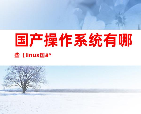 国产操作系统有哪些（linux国产操作系统有哪些）