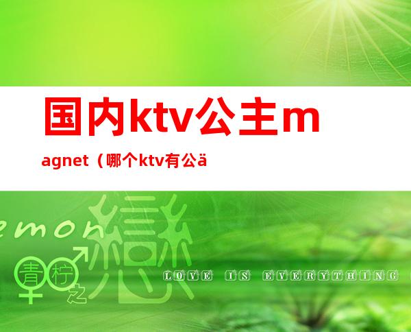 国内ktv公主magnet（哪个ktv有公主）