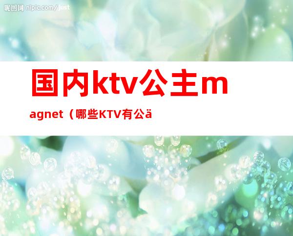 国内ktv公主magnet（哪些KTV有公主）