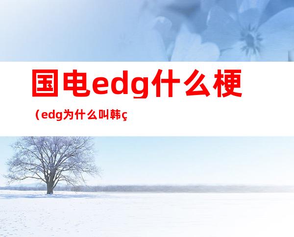 国电edg什么梗（edg为什么叫韩电）