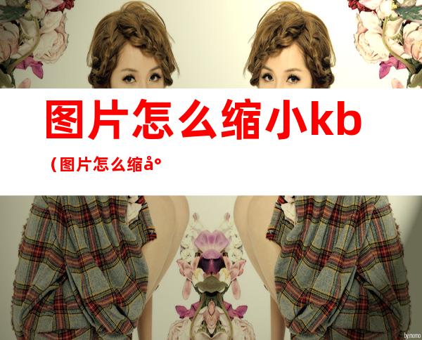 图片怎么缩小kb（图片怎么缩小KB）