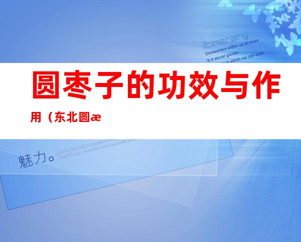 圆枣子的功效与作用（东北圆枣子的功效与作用）