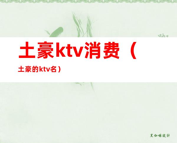 土豪ktv消费（土豪的ktv名）