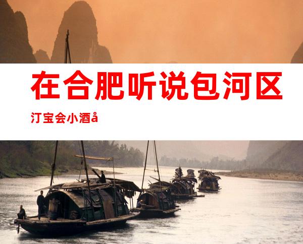 在合肥听说包河区汀宝会小酒吧很好玩,颜子怎么样那边。