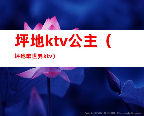 坪地ktv公主（坪地歌世界ktv）