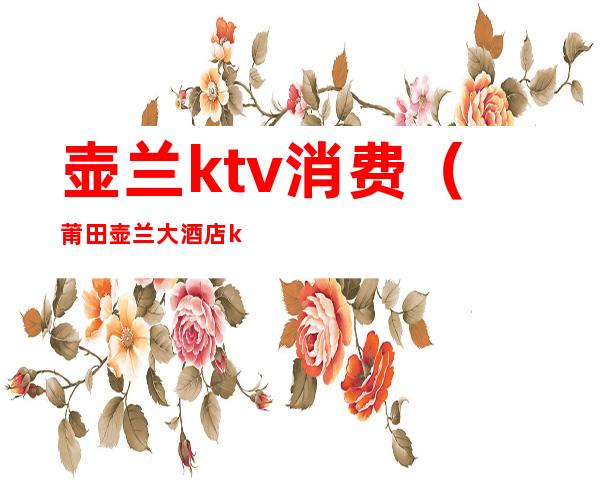 壶兰ktv消费（莆田壶兰大酒店ktv消费情况）