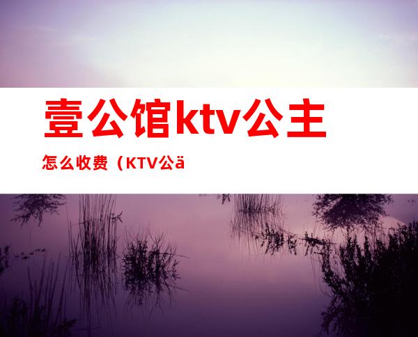 壹公馆ktv公主怎么收费（KTV公主费用）