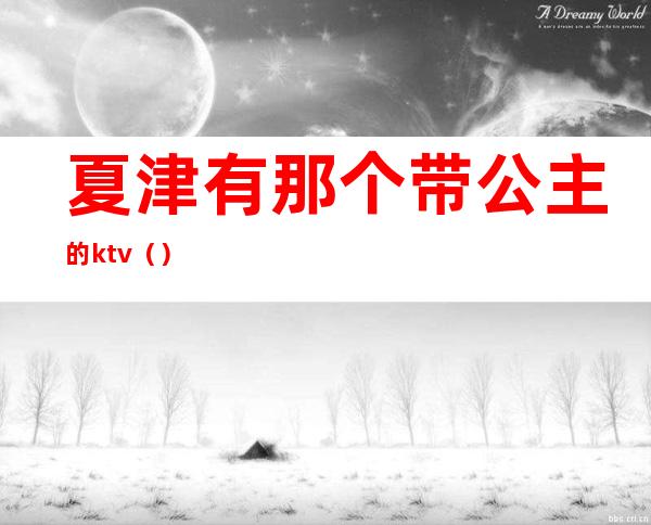 夏津有那个带公主的ktv（）