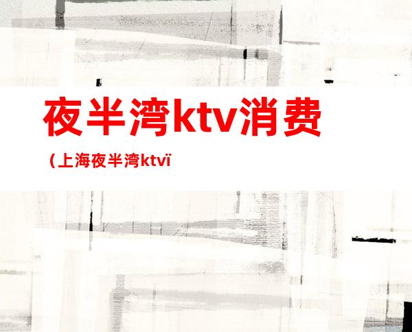 夜半湾ktv消费（上海夜半湾ktv）