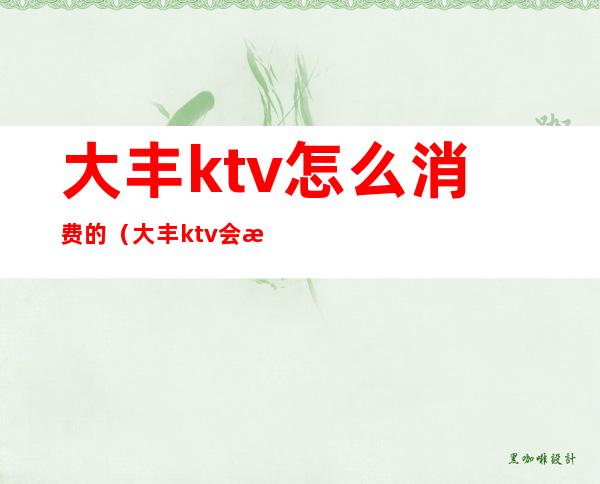 大丰ktv怎么消费的（大丰ktv会所哪家好玩）