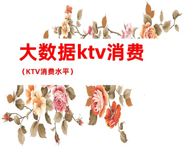 大数据ktv消费（KTV消费水平）