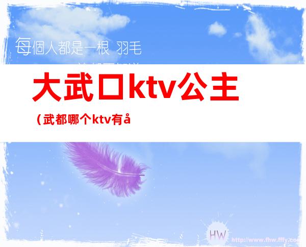 大武口ktv公主（武都哪个ktv有公主）