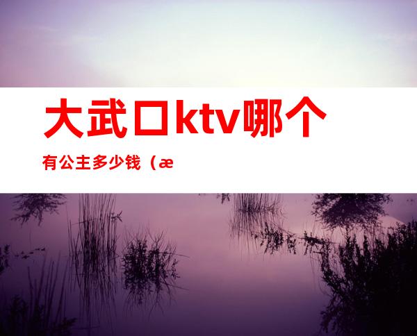 大武口ktv哪个有公主多少钱（武汉ktv公主多少钱）