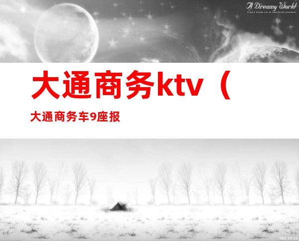 大通商务ktv（大通商务车9座报价表）