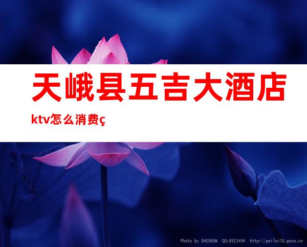 天峨县五吉大酒店ktv怎么消费的（峨山帝豪KTV怎么消费）