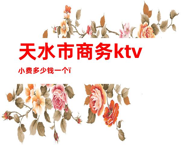 天水市商务ktv小费多少钱一个（天水最便宜的ktv大概多少钱）