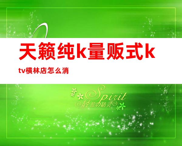 天籁纯k量贩式ktv横林店怎么消费（天籁ktv价格多少）