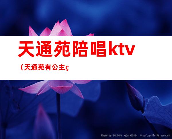 天通苑陪唱ktv（天通苑有公主的KTV）