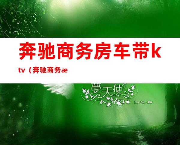 奔驰商务房车带ktv（奔驰商务房车带卫生间）