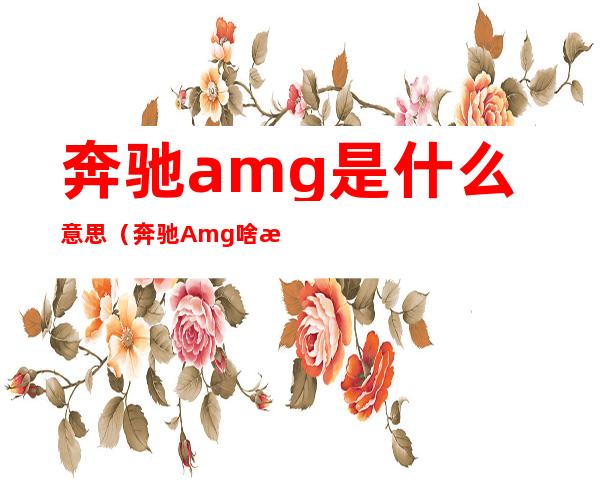 奔驰amg是什么意思（奔驰Amg啥意思）