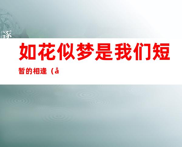 如花似梦是我们短暂的相逢（如花似梦是我们短暂的相逢缠绵细语）