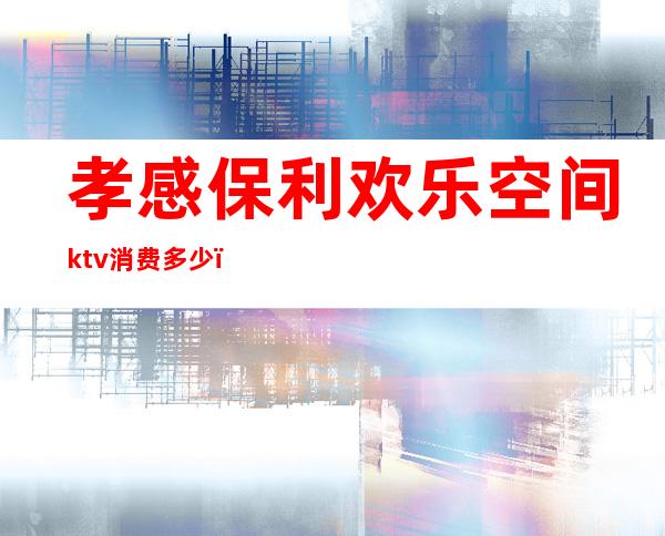 孝感保利欢乐空间ktv消费多少（孝感声乐汇KTV）