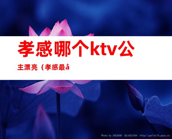 孝感哪个ktv公主漂亮（孝感最好的ktv）