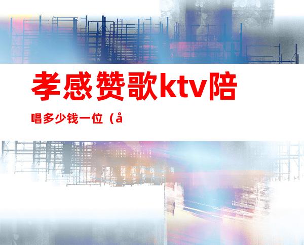 孝感赞歌ktv陪唱多少钱一位（孝感陪唱的ktv）