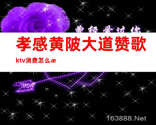 孝感黄陂大道赞歌ktv消费怎么样（孝感赞歌ktv服务）