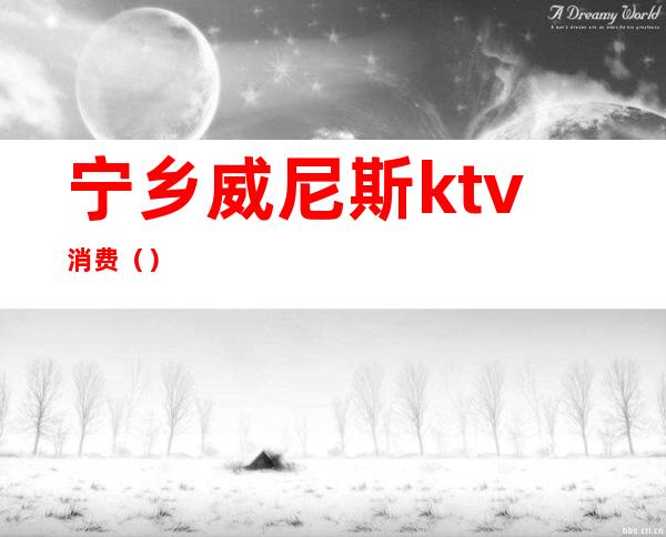 宁乡威尼斯ktv消费（）