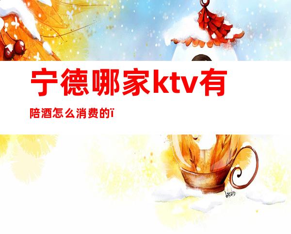 宁德哪家ktv有陪酒怎么消费的（宁德ktv哪家最好）