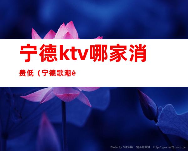 宁德ktv哪家消费低（宁德歌潮量贩式ktv）