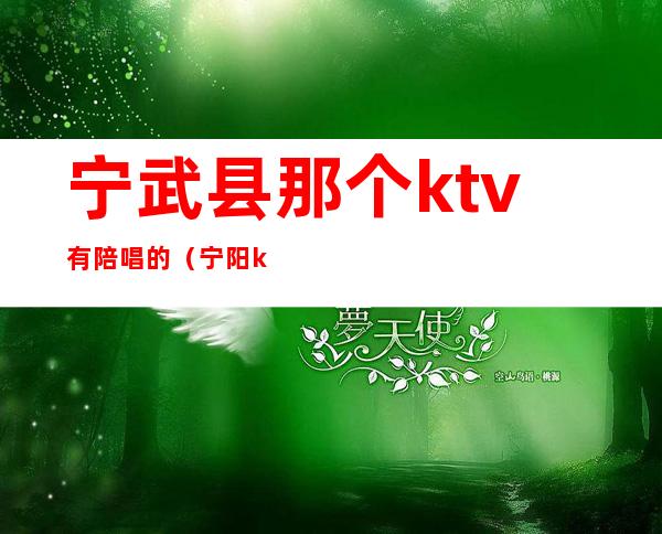 宁武县那个ktv有陪唱的（宁阳ktv陪唱）