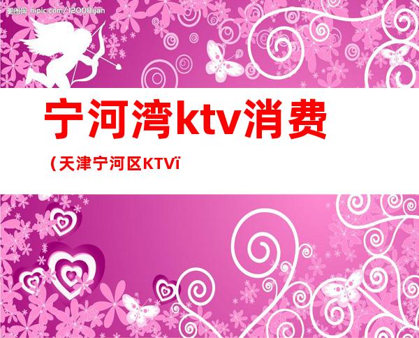 宁河湾ktv消费（天津宁河区KTV）