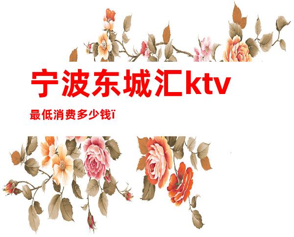 宁波东城汇ktv最低消费多少钱（宁波ktv价格）