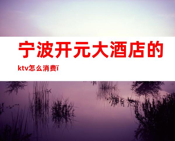 宁波开元大酒店的ktv怎么消费（宁波开元酒店ktv消费怎么样）