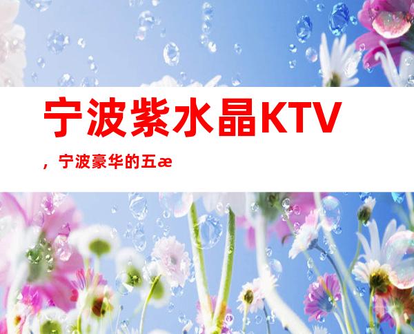 宁波紫水晶KTV，宁波 豪华的五星级夜总会 – 宁波海曙商务KTV