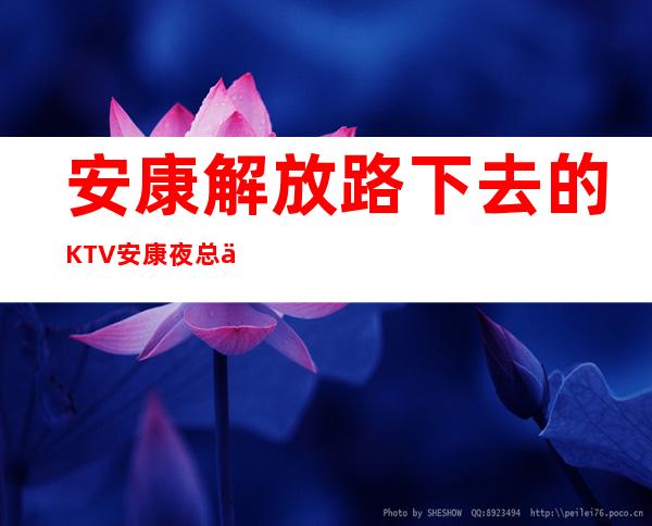 安康解放路下去的KTV 安康夜总会有哪些