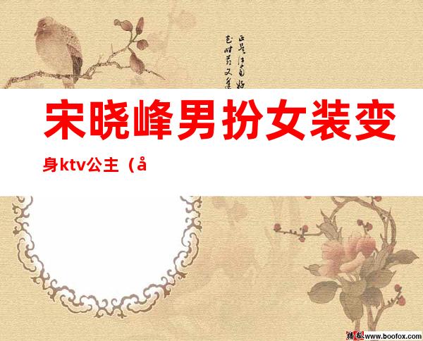 宋晓峰男扮女装变身ktv公主（宋晓峰ktv遇到男扮女装）