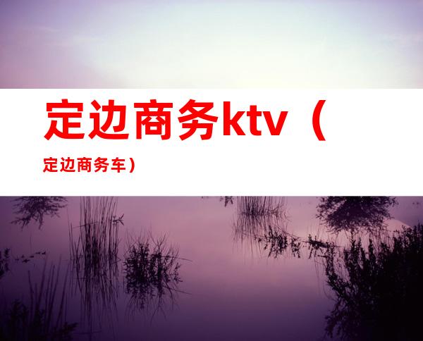 定边商务ktv（定边商务车）