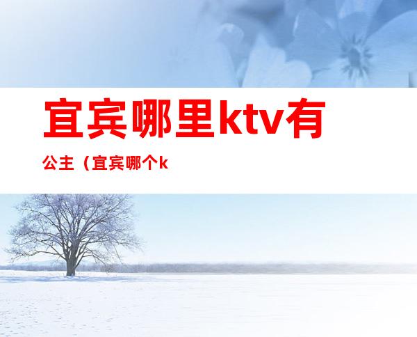 宜宾哪里ktv有公主（宜宾哪个ktv有陪酒）