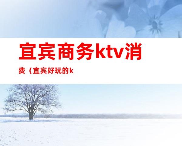 宜宾商务ktv消费（宜宾好玩的ktv）