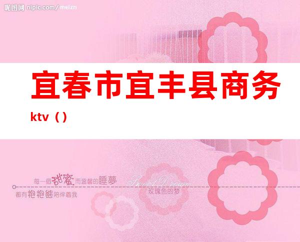 宜春市宜丰县商务ktv（）