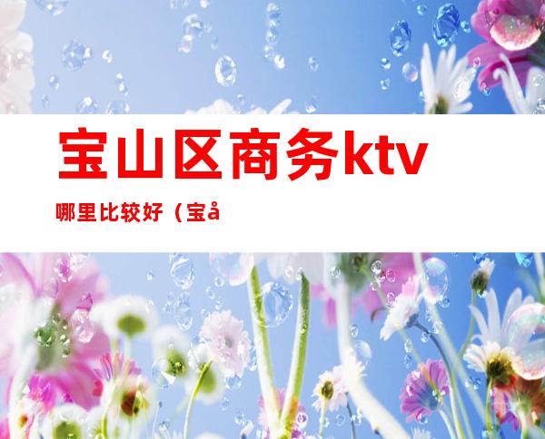 宝山区商务ktv哪里比较好（宝山区ktv有哪些）