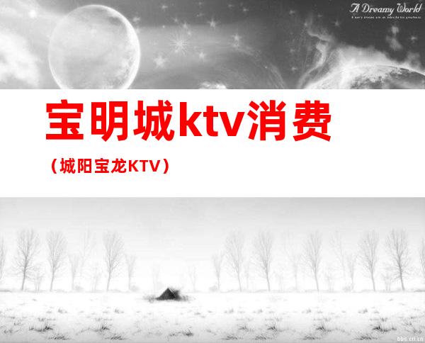 宝明城ktv消费（城阳宝龙KTV）