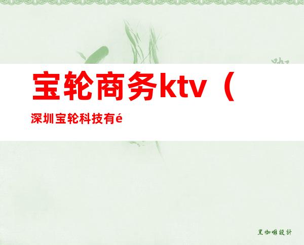 宝轮商务ktv（深圳宝轮科技有限公司 概况）