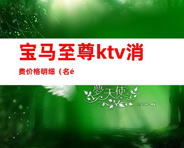 宝马至尊ktv消费价格明细（名门至尊ktv）